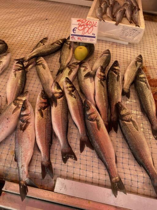 Casa Del Pescatore Di Ortigia Сиракуза Екстериор снимка